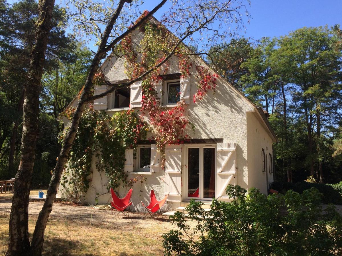 Chambres Au Coeur Du Massif Des Trois Pignons Noisy-sur-Ecole ภายนอก รูปภาพ