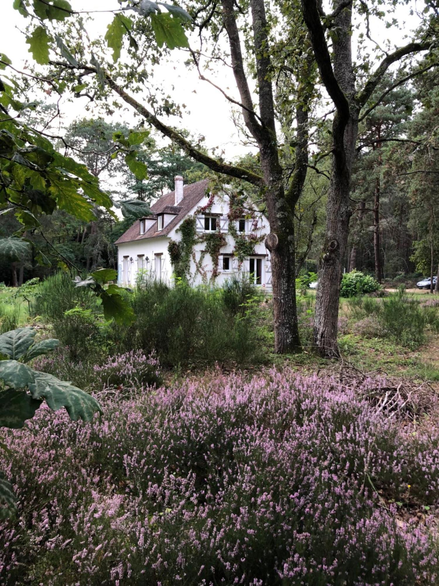 Chambres Au Coeur Du Massif Des Trois Pignons Noisy-sur-Ecole ภายนอก รูปภาพ